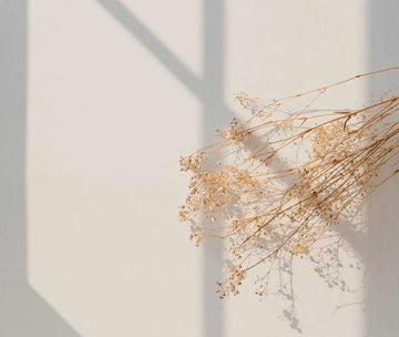 Afternoon Cozy Moment with Incense Sticks